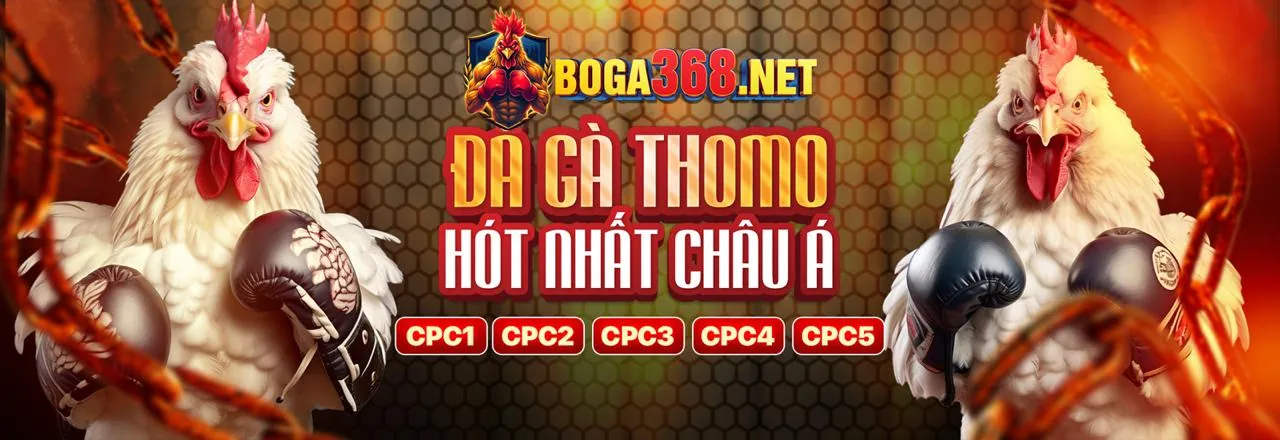 Đá Gà Trực Tuyến 123ga bet - Sân chơi cá cược đá gà sôi động